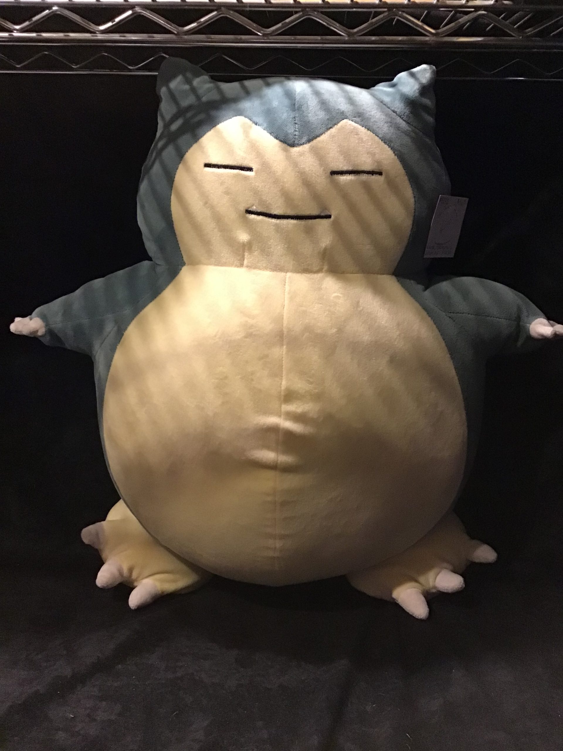 OL-174 Large Pokemon Plush B-770